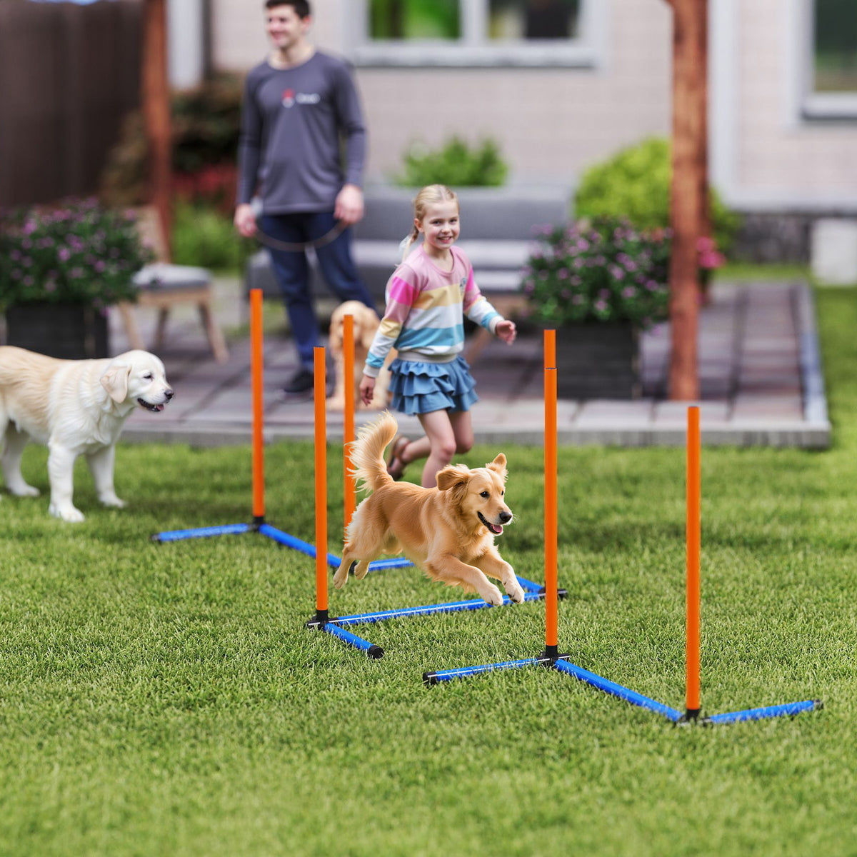 Agility-set voor honden 3-delige agility-uitrusting met slalomstangen draagtas trainingsset voor alle (2)