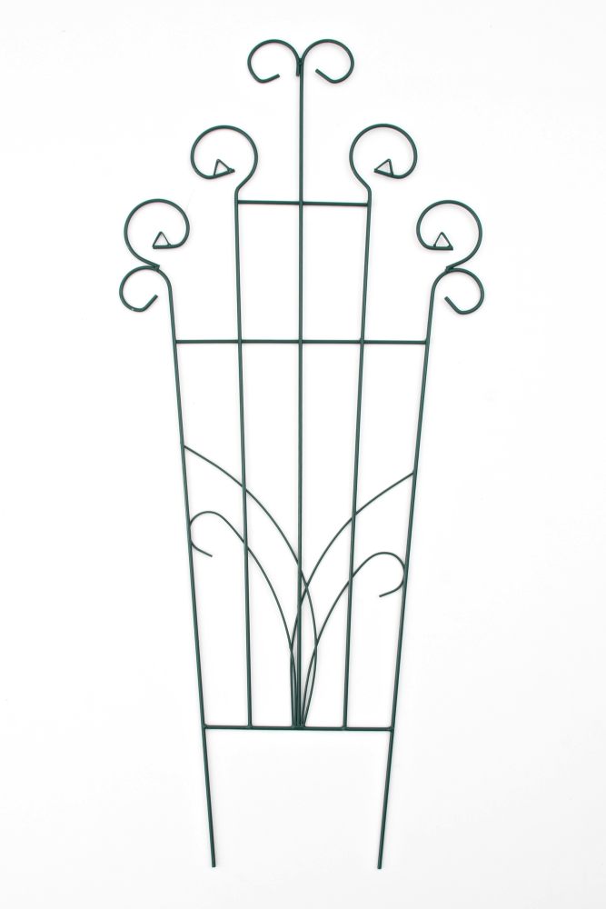 Rankrooster Trient (2)