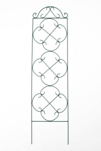 Rankrooster Salerno (2)