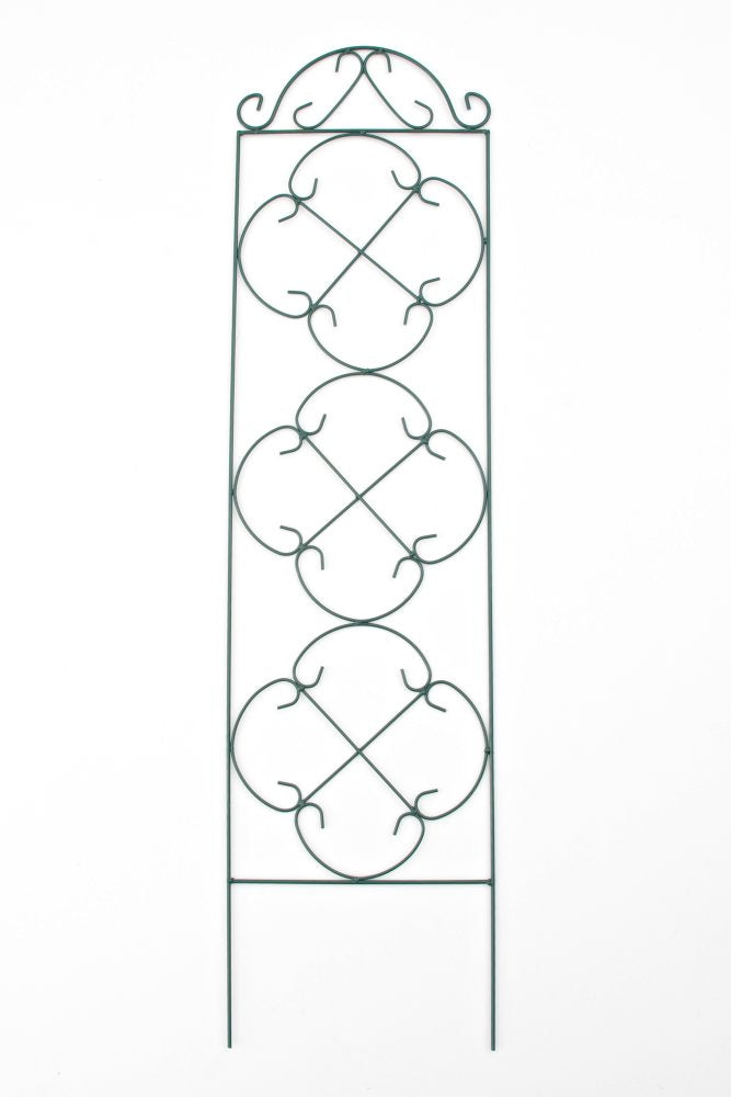 Rankrooster Salerno (2)