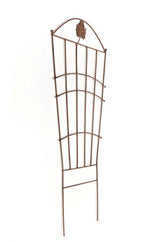 Nosta klimplantensteun (2)