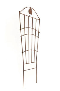Nosta klimplantensteun (2)