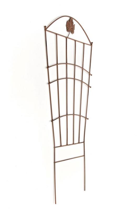 Nosta klimplantensteun (2)