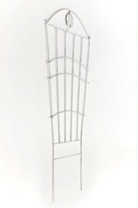 Nosta klimplantensteun (8)