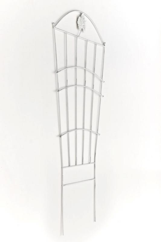 Nosta klimplantensteun (8)