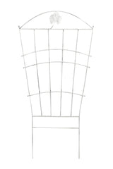 Nosta klimplantensteun (7)