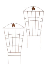 Nosta klimplantensteun (5)