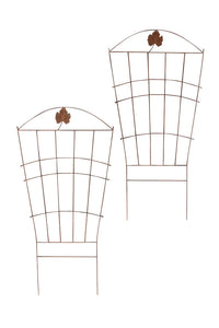 Nosta klimplantensteun (5)