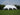 XXL stertent 10x18m