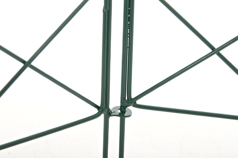 10x Rankhek Rovigo (7)