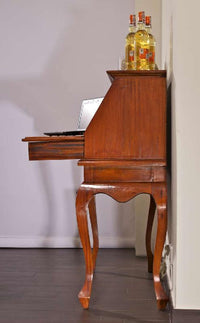 Secretaresse Marina (7)