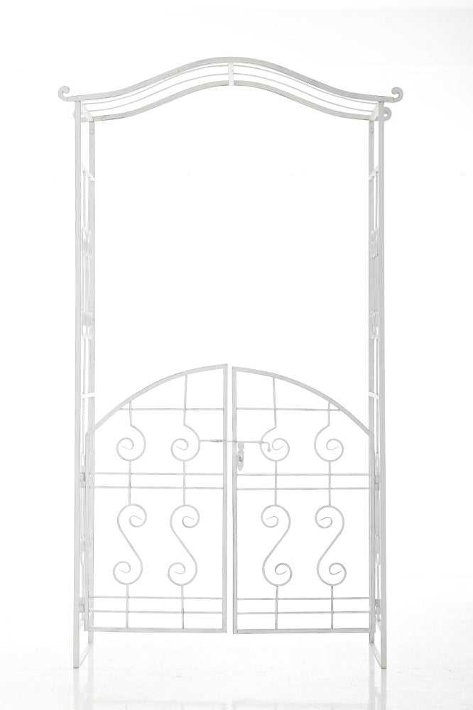 Rozenboog Astia V2 (2)