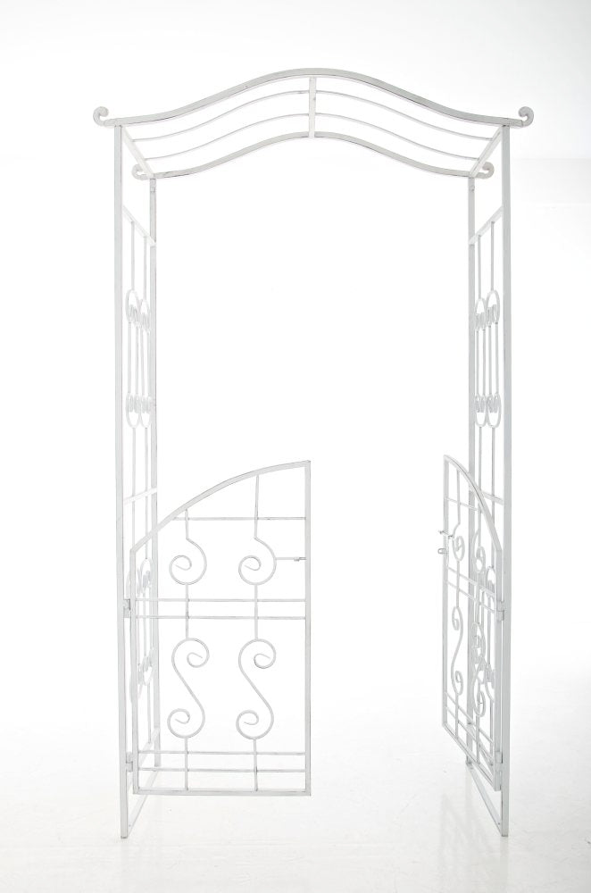 Rozenboog Astia V2 (4)