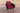 Fauteuil Ameland rond robijnrood 45 cm (donkergrijs)
