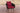 Fauteuil Ameland rond robijnrood 45 cm (donkerbruin)