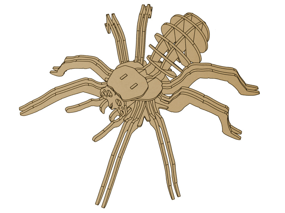 3D-houten spinnenpuzzel, educatieve combinatie van 31 elementen (2)