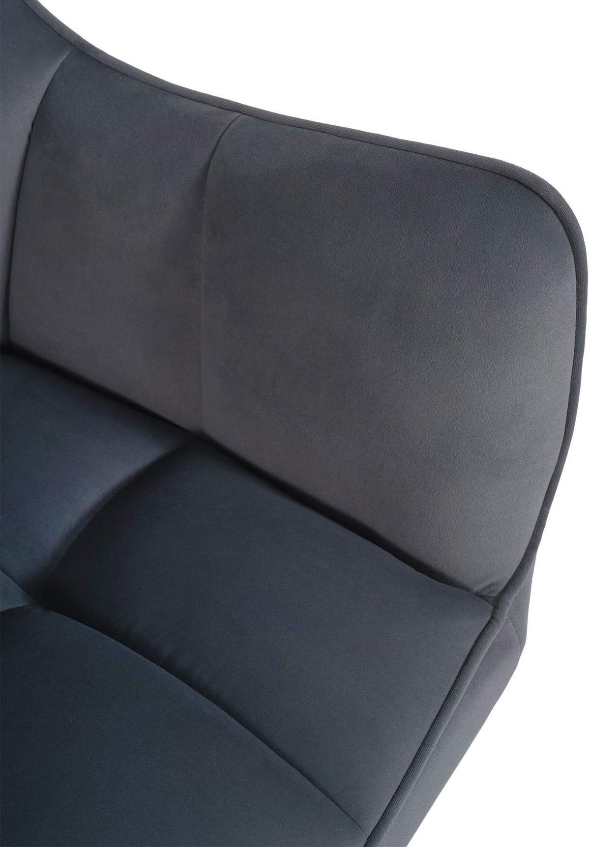 Eetkamerstoel Swing fluweel roestvrij staal (10)