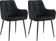 2-delige set eetkamerstoel Ferndale fluweel