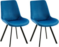2-delige set eetkamerstoel Lewes fluweel (7)