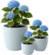 Set van 3 plantenbakken 1