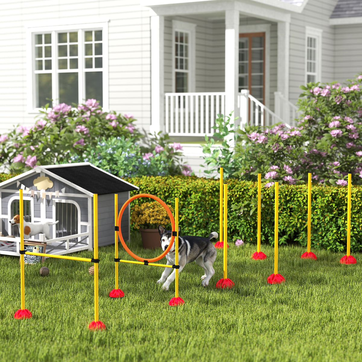 Agility-set voor honden, 3-delig, navulbaar, agility-uitrusting voor hondentraining, insteekhindernisset met (2)
