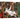 Puzzel - 500 - Premium Plus - Pets as Art: Zijn pluizige hoogheid - Trefl 37627
