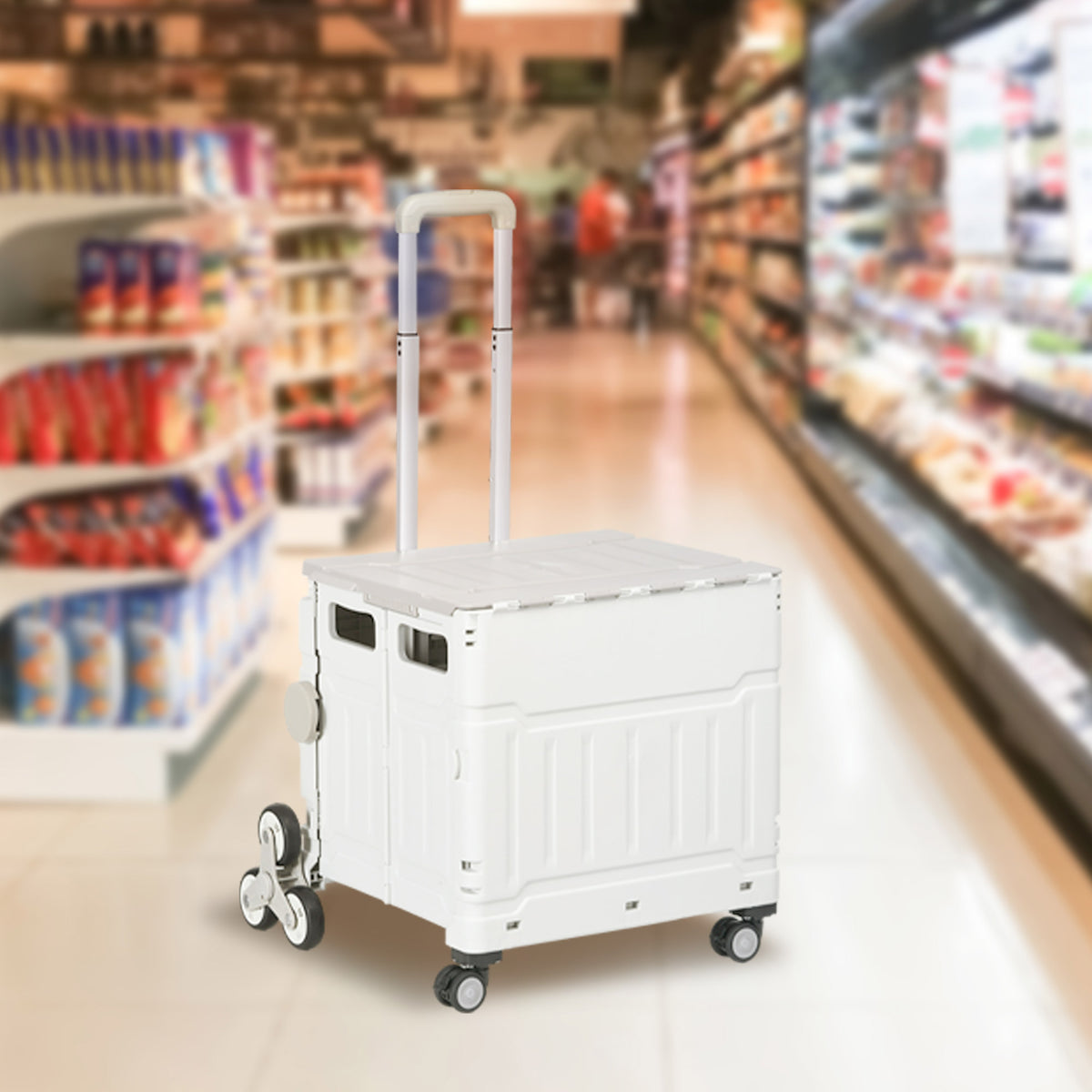 Boodschappentrolley traploper, mobiele transportbox, inklapbaar, telescopische handgreep, belastbaar tot max. 65 (2)