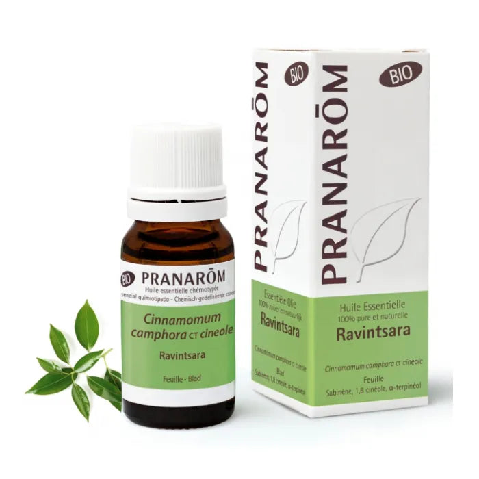 Pranarom Essentiële Olie Ravintsara 10ml