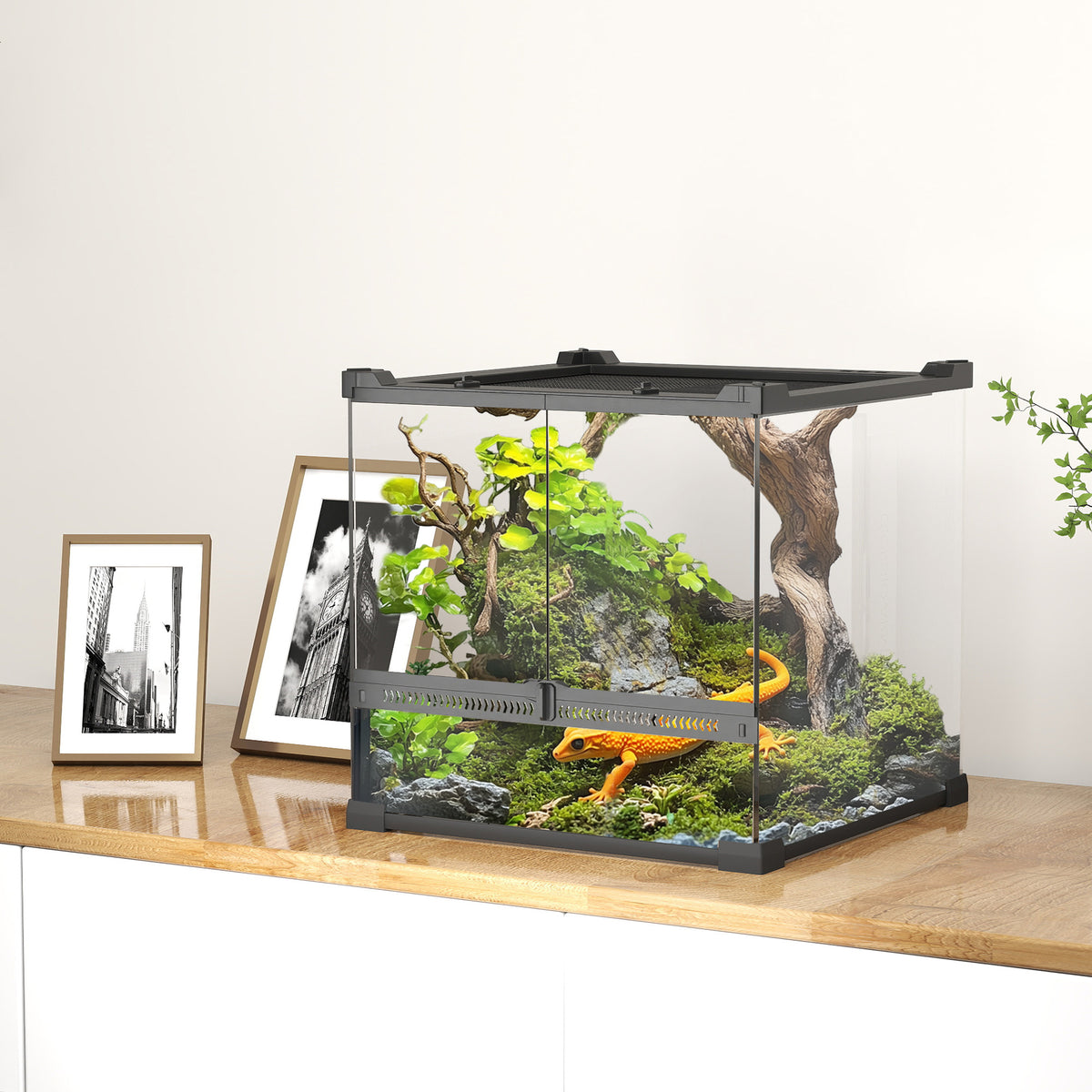 Glazen terrarium voor reptielen, verhoogde & waterdichte bodem, knopslot (2)