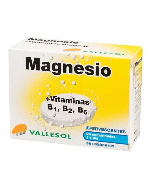 Vallesol Magnesium B Bruistabletten 24st