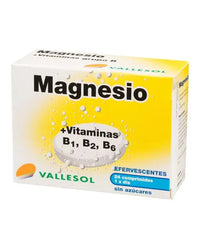 Vallesol Magnesium B Bruistabletten 24st