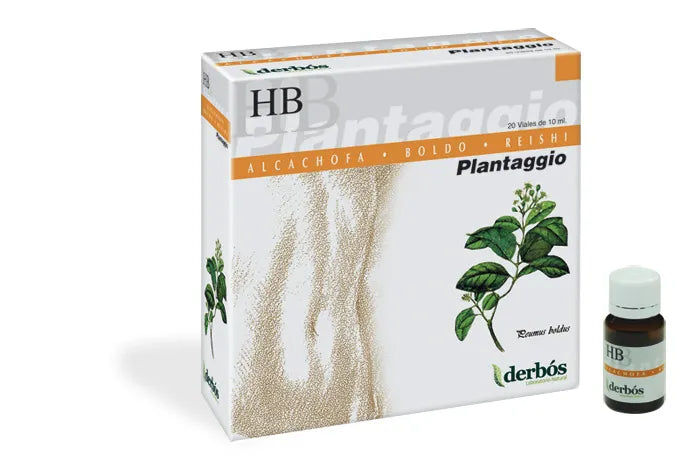 Dherbos Plantaggio Hb 20 Ampullen