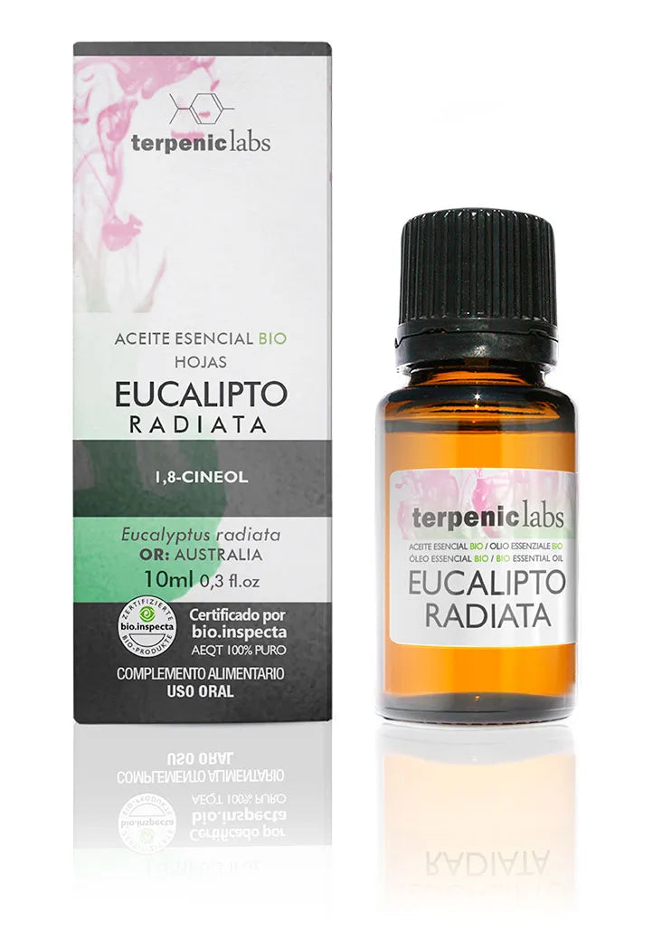 Terpenic Eucalyptus Radiata 10ml Bio