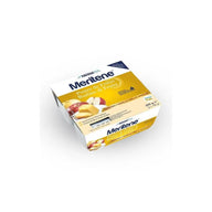 Meritene Fruitdessert 4x 100g