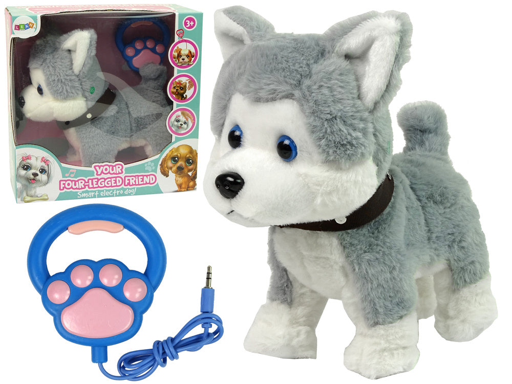 Pluche husky-hond, interactieve leerlijn, liedjeswandelingen