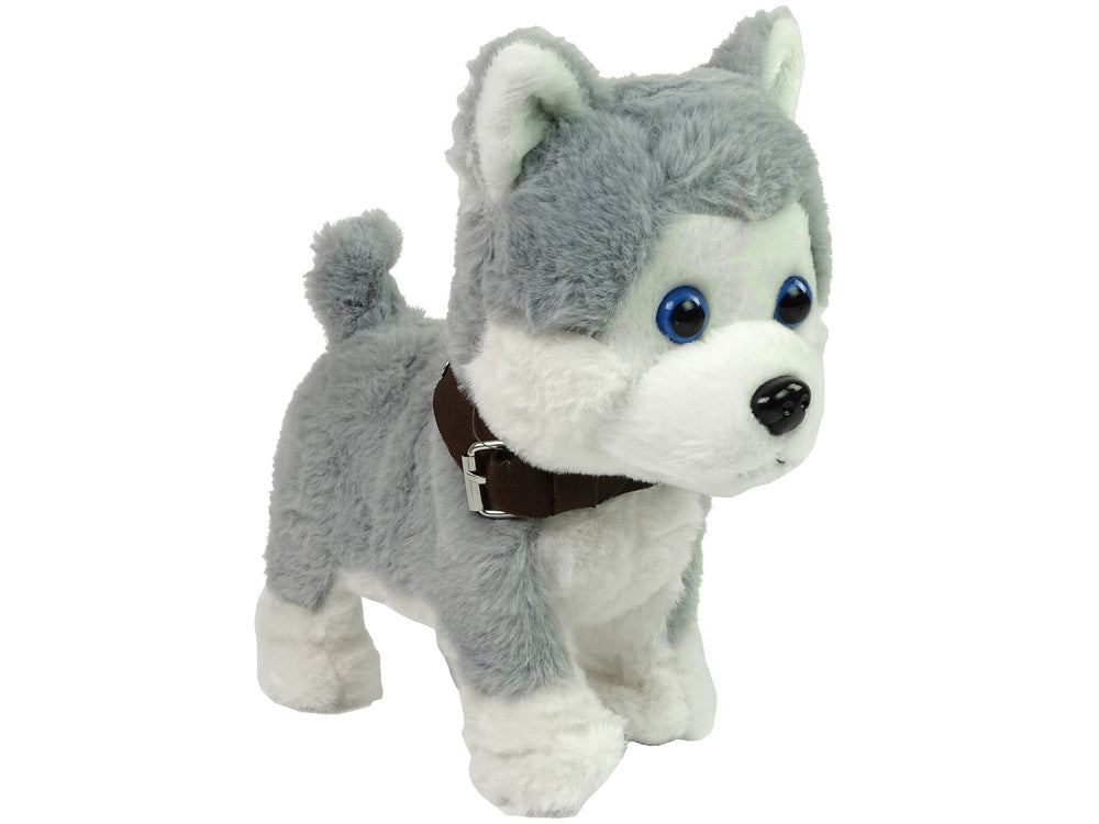 Pluche husky-hond, interactieve leerlijn, liedjeswandelingen (2)