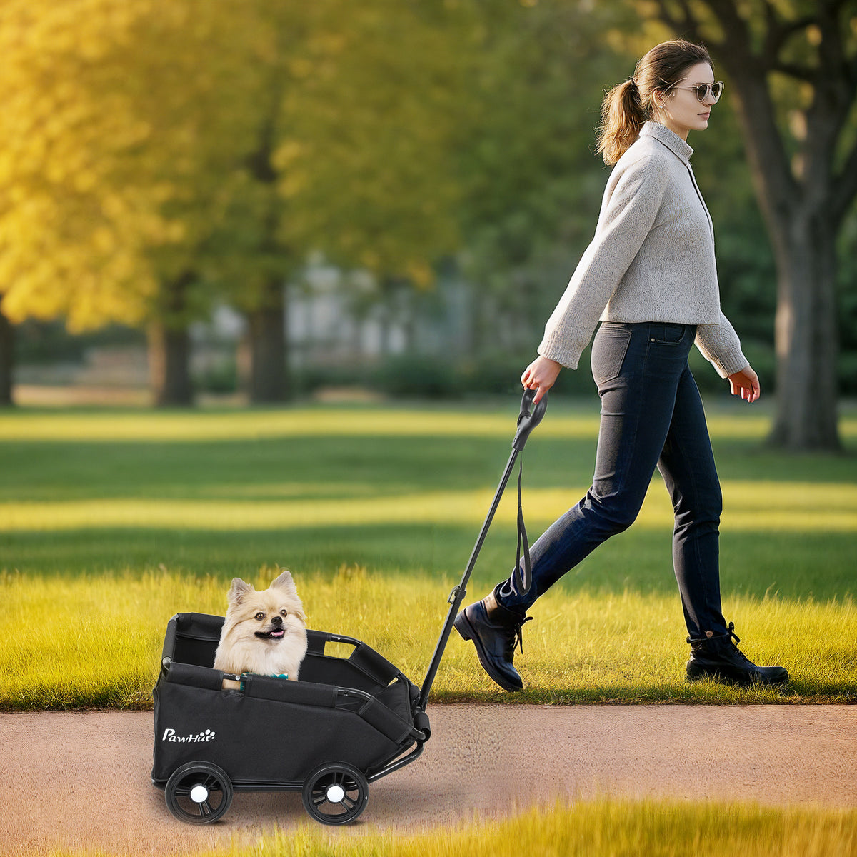 Hondenbuggy, inklapbare hondenwagen voor dwerghonden tot 4 kg, opvouwbare kattenbuggy met duwstang, wasbaar (2)