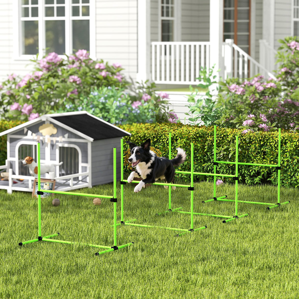 Agility-set hond 4-delig in hoogte verstelbaar agility-uitrusting met 4 hindernissen draagtas 99 x 65 x 94 cm (2)