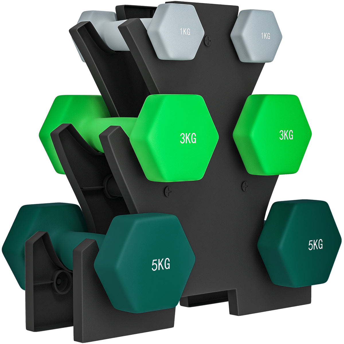 Dumbbellset met opbergrek, set met 6 dumbbells voor fitnesstraining, 2 x 1kg, 2 x 3kg, 2 x 5kg