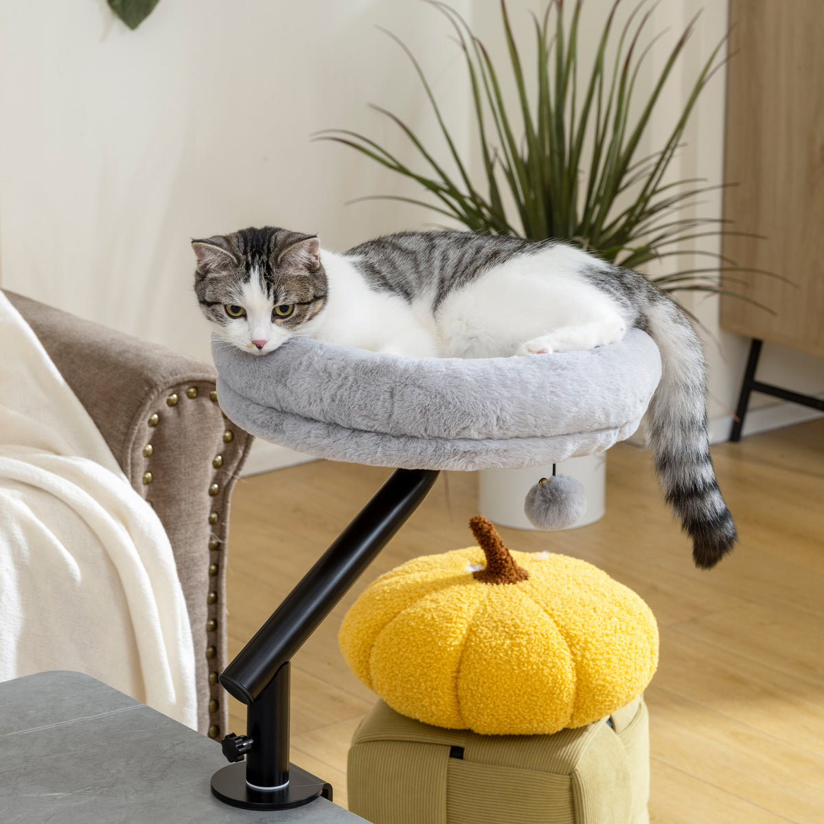 Katzenbureau-bed, kattenbed voor bureau met 360° draaifunctie, verstelbare hoogte, kattenligplaats met (2)