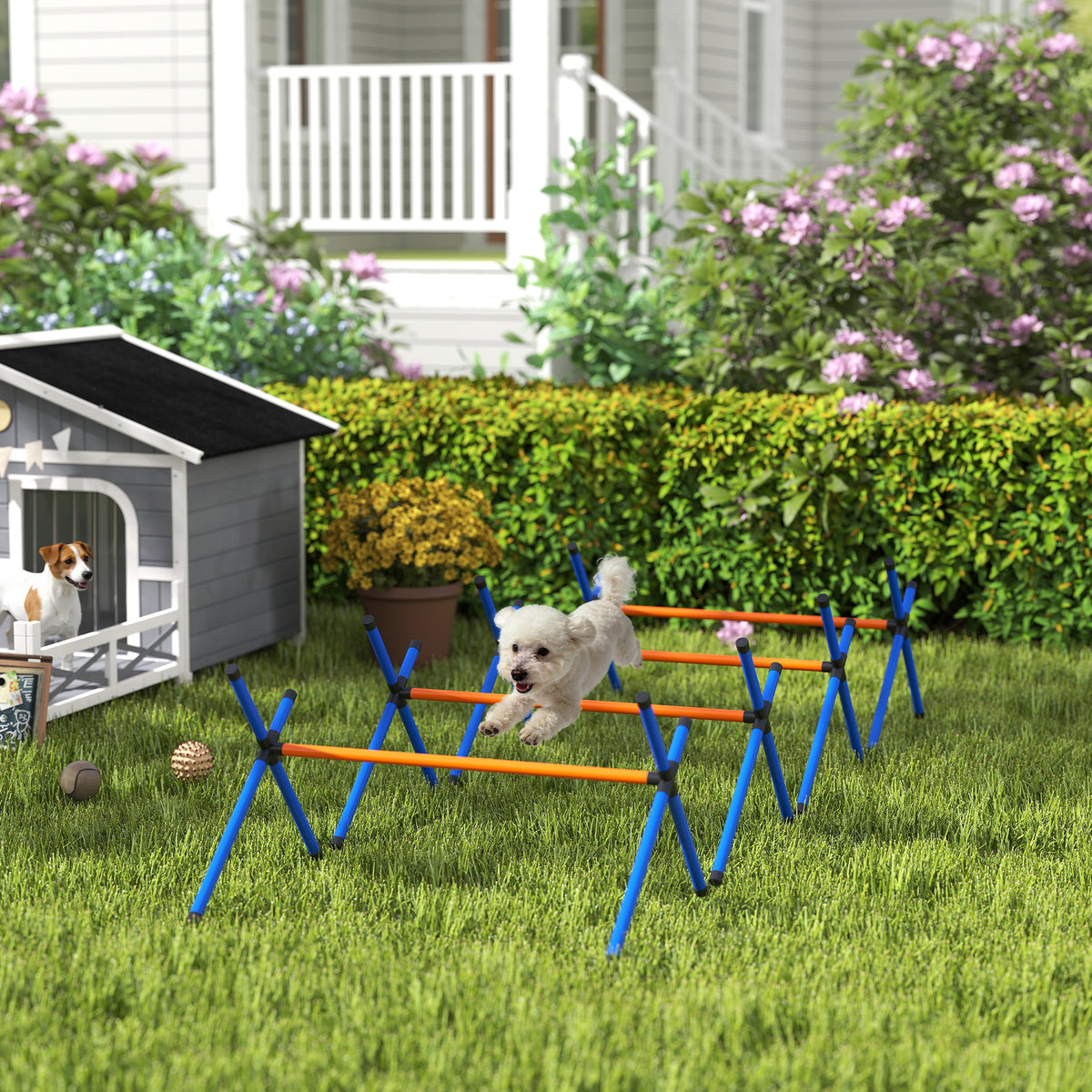 Agility-set voor honden, 4-delige agility-uitrusting met hindernissen, draagtas, in hoogte verstelbare (2)