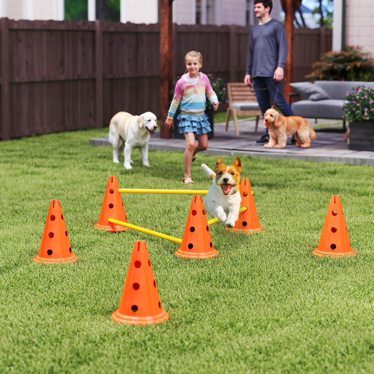 Agility-set voor honden, 3-delige agility-uitrusting voor hondentraining, insteekhordeset met 6 kegels, 3 hordes (2)