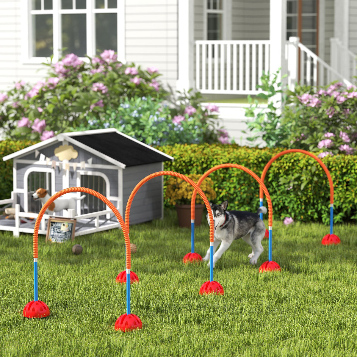 4-delige honden-agility-trainingsset met 4 deuren in verstelbare breedte, draagtas, voor in de tuin, blauw (2)