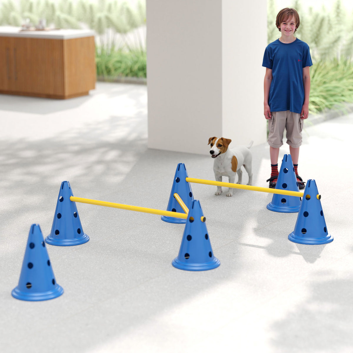 Agility-set voor honden 3-delige agility-uitrusting voor hondentraining, insteekhordeset met 6 kegels, 3 hordes (9)