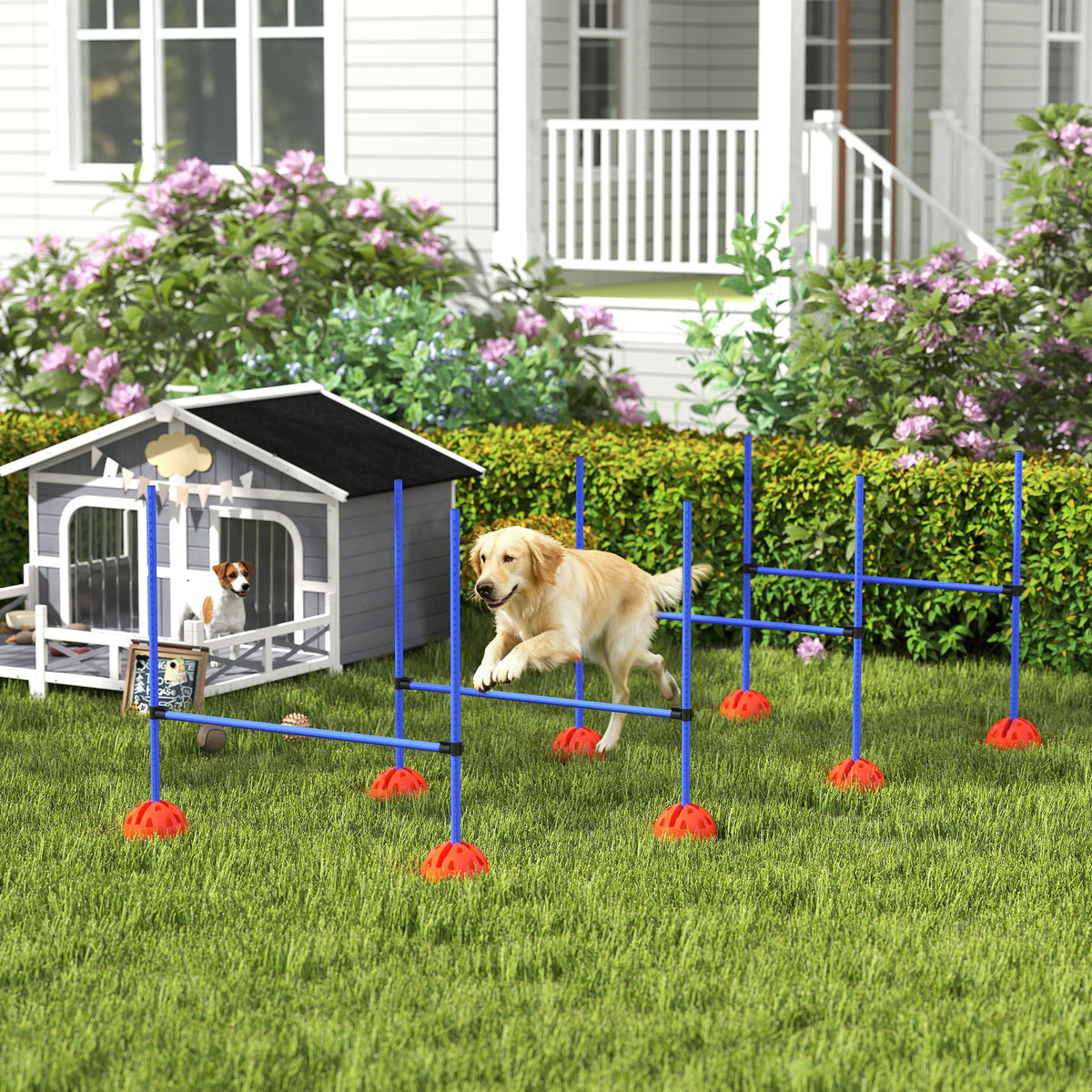 4-delige honden-agilityset met 4 hindernissen en draagtas voor springtraining, blauw (2)