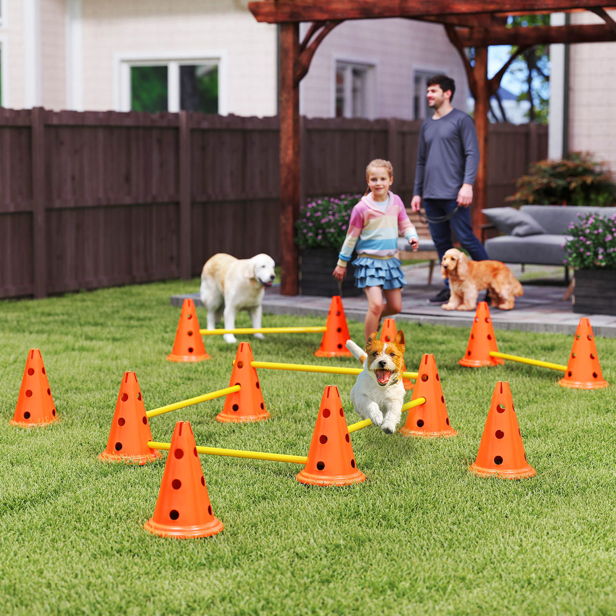 Agility-set voor honden, 6-delige agility-uitrusting voor hondentraining, steekhindernisset met 12 kegels, 6 (2)