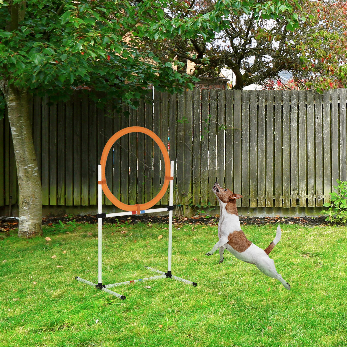 Agility springring voor honden, agilityset voor honden, agilityring 2-in-1 springringstang met draagtas (2)