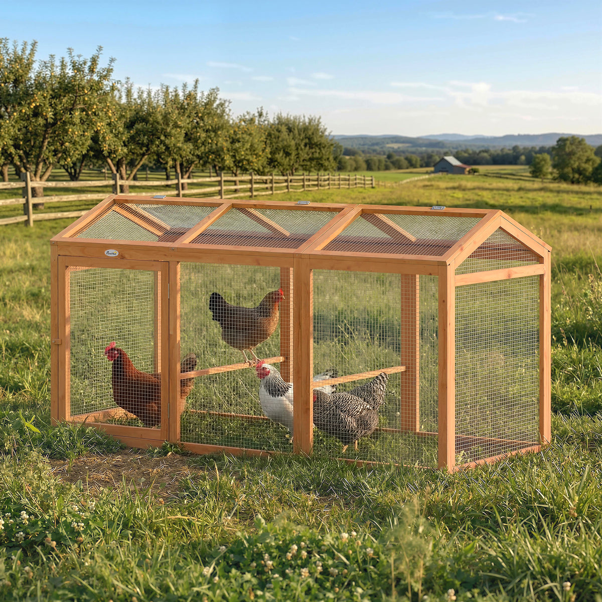 Kippenren met uitloop en zitstok, dubbele deuren, van hout en metaal, voor 4 kippen, 156 x 70,5 x 84 cm oranje (2)