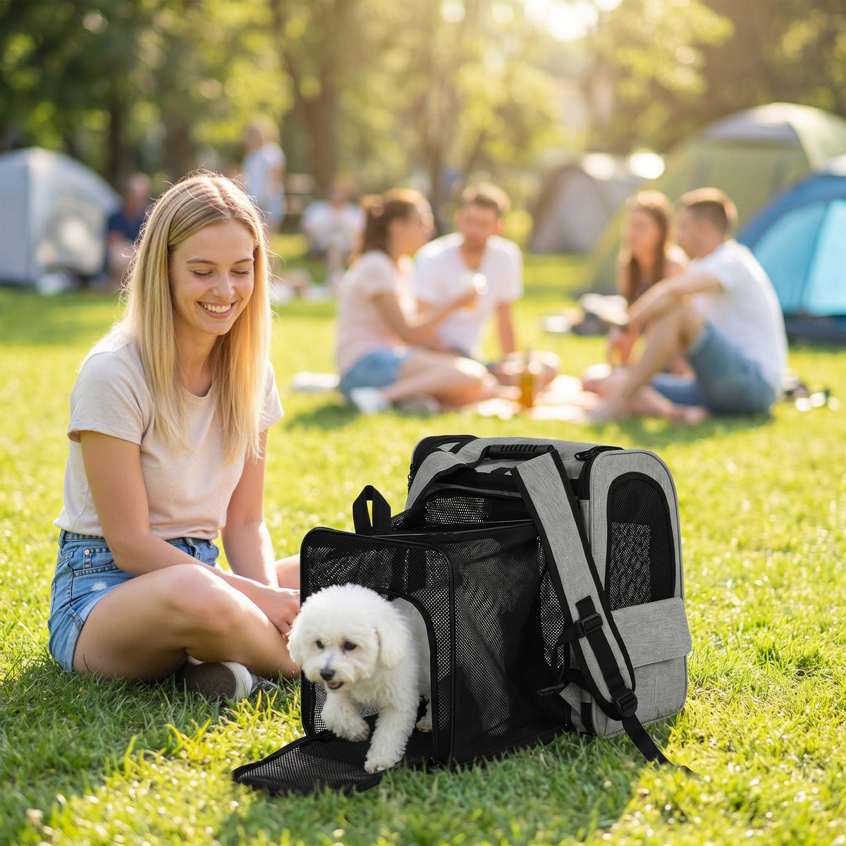 Hondenbox uitbreidbaar transportbox hond met 5 vakken reflecterende streep voor honden tot 10 kg 33,5x28x42cm (2)