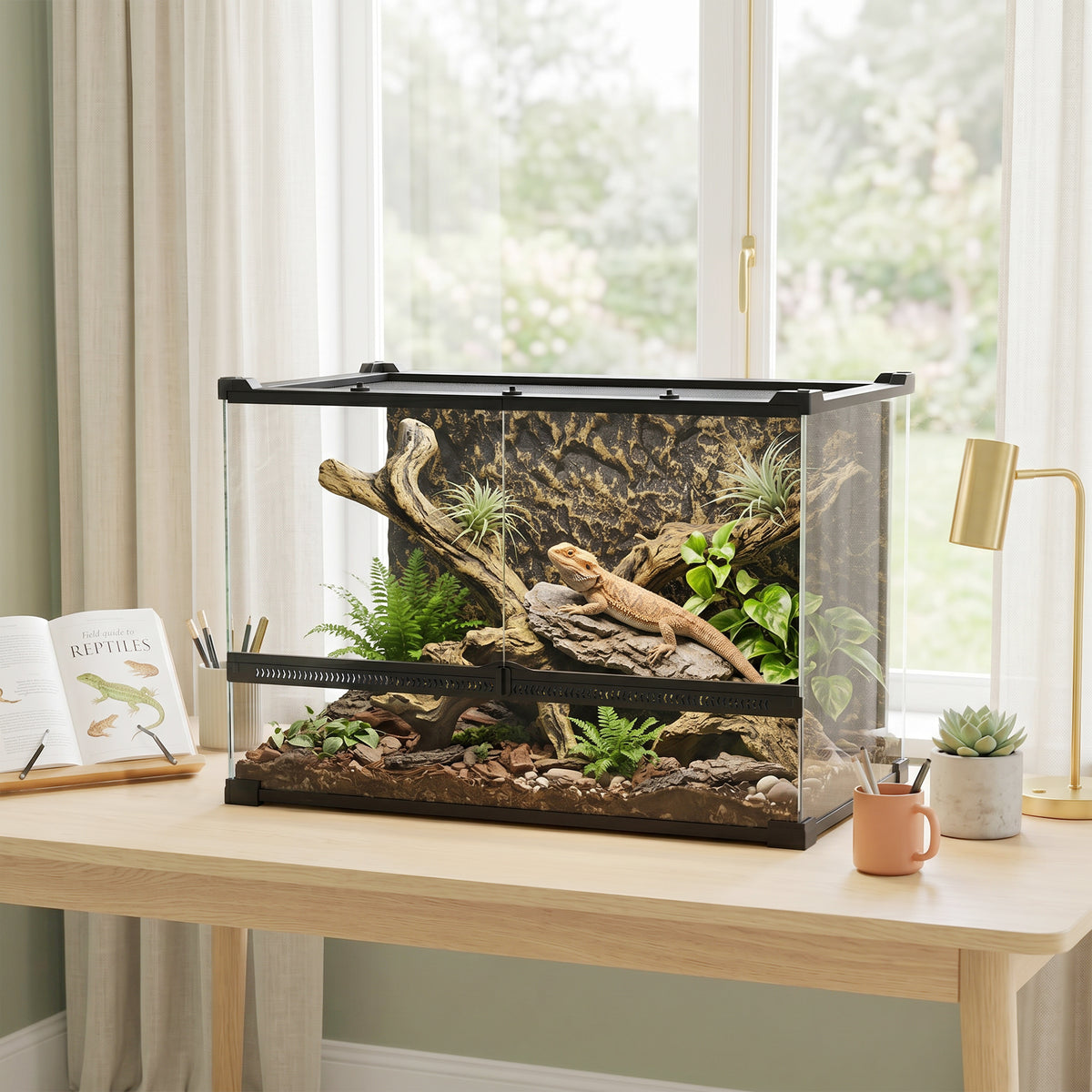Reptielenterrarium glazen terrarium 48L met ventilatie aan de voorzijde, stenen achterwand, draaisluiting, 50 x (2)